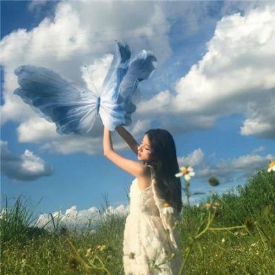 泰特罗 在线观看