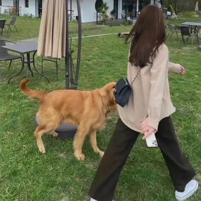 绝命逃亡 在线观看