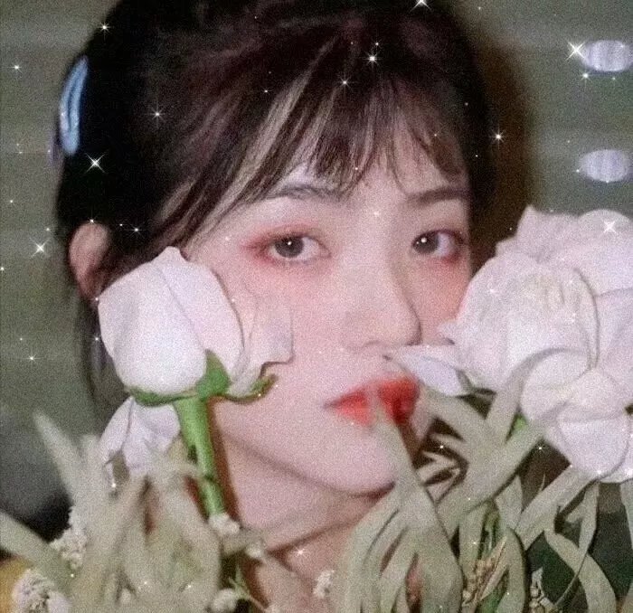 最后的美丽 在线观看